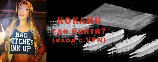 гашик Горняк