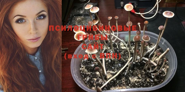 метадон Гусев