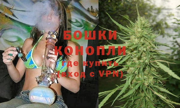 метадон Гусев