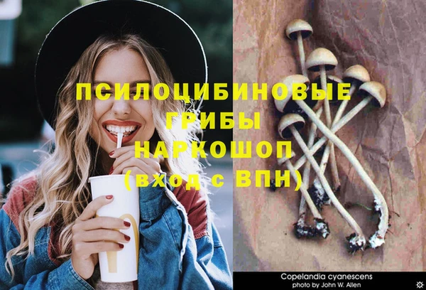 альфа пвп Гусиноозёрск