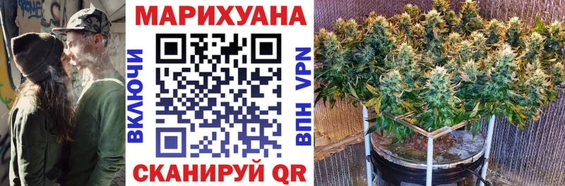Бошки Шишки семена  Купить где  Палласовка 